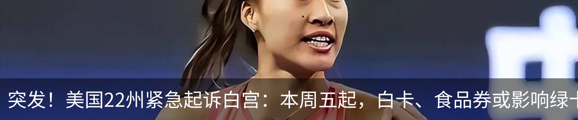 新闻动态